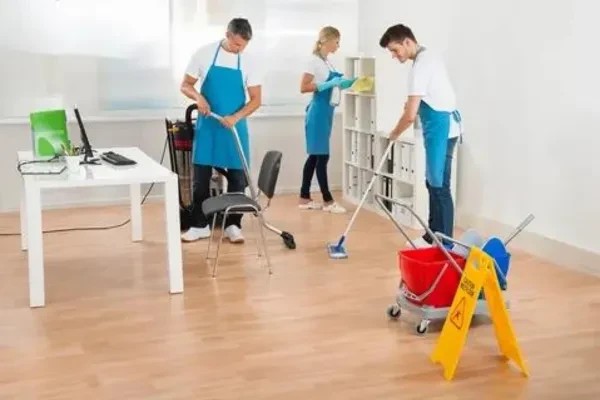 sylvias-house-cleaning-llc-big-1